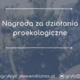 Nagroda dla Pioniera Wieku Cyfrowego